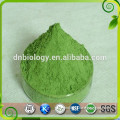Barley grass powder/ Barley grass juice powder,80-200mesh,Organic Certified